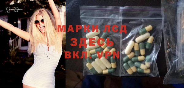 ГАЛЛЮЦИНОГЕННЫЕ ГРИБЫ Баксан