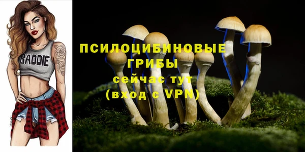 дурь Балабаново