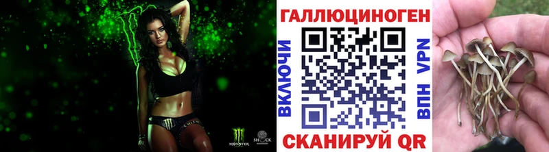 Псилоцибиновые грибы MAGIC MUSHROOMS  Краснослободск 